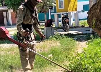 Hipólito Yrigoyen: Limpieza y desmalezado en espacios verdes