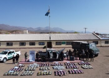 Intentaron ingresar al país con 368 kilos de marihuana