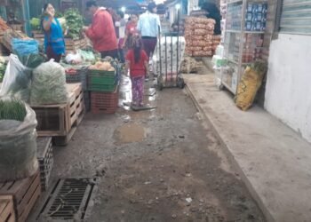 Vecinos y comerciantes piden mejoras urgentes en el Mercado de Abasto