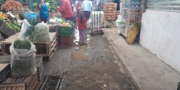 Vecinos y comerciantes piden mejoras urgentes en el Mercado de Abasto