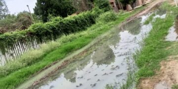 Vecinos denuncian hace mas de un mes una pérdida de líquidos cloacales