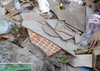 No aprendemos, vecinos cochinos por demás