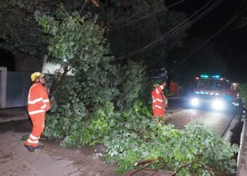 Intenso trabajo de Defensa Civil y Bomberos Voluntarios tras la tormenta de anoche