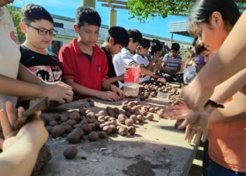 Alumnos prepararon bombas de semillas