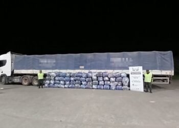 Trasladaba más de una tonelada de hojas de coca en un camión