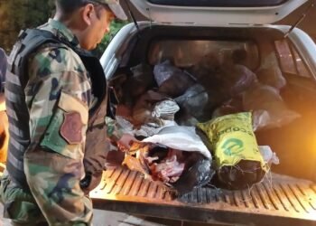 Incautaron 500 kilos de carne no apta para el consumo humano