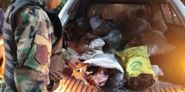 Incautaron 500 kilos de carne no apta para el consumo humano