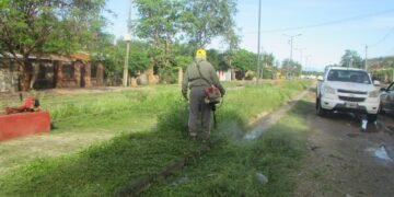 Hipólito Yrigoyen: Siguen los trabajos de limpieza y desmalezado