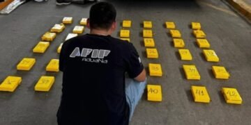 Detuvieron un camión que intentaba ingresar 43 kilos de cocaína de Bolivia a Salta