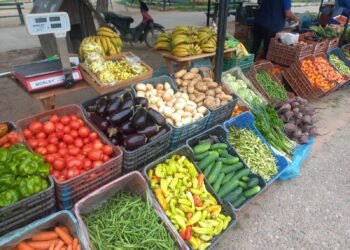 Feria de los Pequeños Productores Independientes del NOA