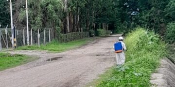 Continúan los operativos de limpieza en la ciudad