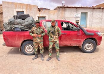Gendarmería secuestró más de 270 kilos de marihuana en la Puna Jujeña