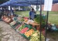 Se realiza hoy la Feria de los Pequeños Productores Independientes del NOA