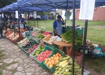 Se realiza hoy la Feria de los Pequeños Productores Independientes del NOA