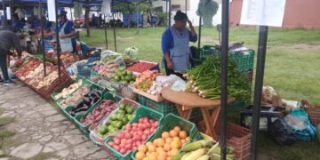 Se realiza hoy la Feria de los Pequeños Productores Independientes del NOA