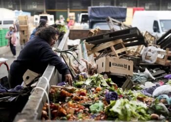 Indicadores sociales críticos en el primer semestre de Milei