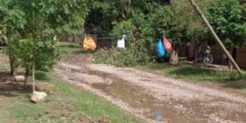 Postes por caerse debido al temporal de lluvia y viento