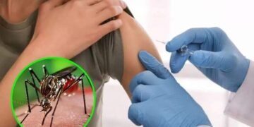 Llegaron las vacunas contra el dengue