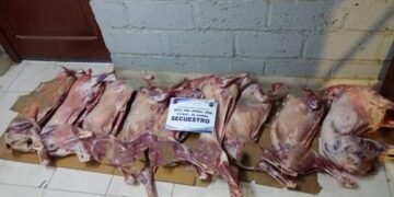Secuestraron alrededor de 2 mil kilos de carne no apta para consumo humano