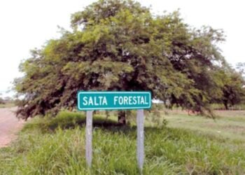 Reabren la causa penal contra Urtubey por los cánones perdonados a Salta Forestal