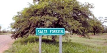 Reabren la causa penal contra Urtubey por los cánones perdonados a Salta Forestal