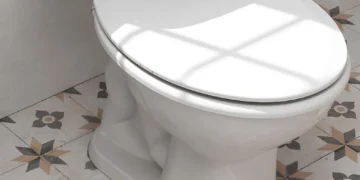 Una diputada bonaerense presentó un proyecto para declarar al inodoro “un lugar para la paz”