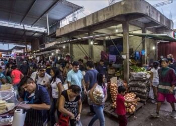 Mercado de Abasto: Horario de atención en las fiestas de fin de año