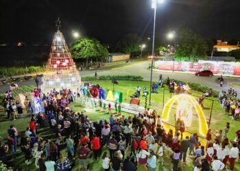 Se encendió el árbol de navidad en Orán
