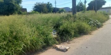 Orán tiene aproximadamente 600 terrenos baldíos