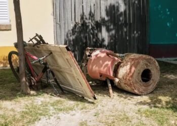 Continua el trabajo de descacharrado masivo