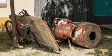 Continua el trabajo de descacharrado masivo