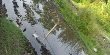 Foto denuncia de los vecinos