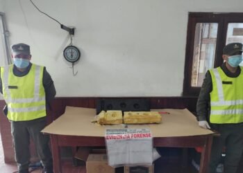 Traficaba 14 kilos de cocaína en el depósito de agua limpiaparabrisas de un camión