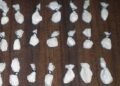La detuvieron con mas de 100 dosis de cocaína