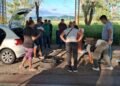 Detuvieron a dos hombres con más de 35 kilos de marihuana