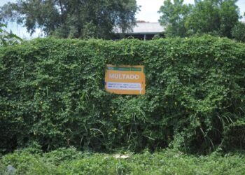 Multan propiedades abandonadas