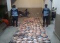 Pesca ilegal: La policía secuestro 275 pacú