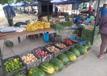 Se realiza la Feria de los Pequeños Productores del NOA