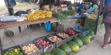 Se realiza la Feria de los Pequeños Productores del NOA