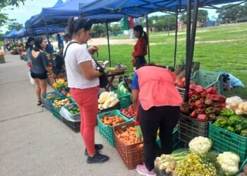 Se realiza la Feria de los Pequeños Productores Independientes del NOA