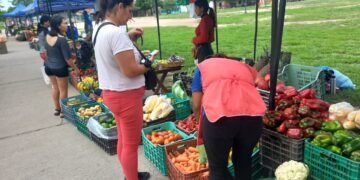 Se realiza la Feria de los Pequeños Productores Independientes del NOA