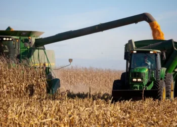 Ya rige la baja de las retenciones y el Gobierno aclaró las condiciones