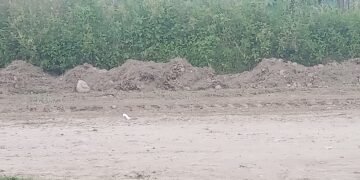 Finalmente arreglan la calle Juana Azurduy