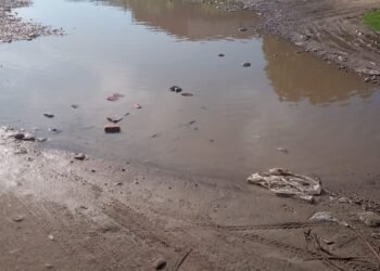 Vecinos reclaman por el mal estado de la calle