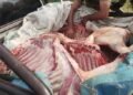 Pichanal: La policía decomisó 380 kilos de carne no apta para el consumo humano