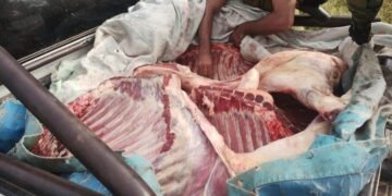 Pichanal: La policía decomisó 380 kilos de carne no apta para el consumo humano