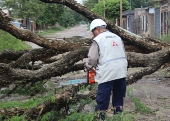 B° Juventud Unidad: Retiraron el árbol caído