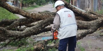 B° Juventud Unidad: Retiraron el árbol caído