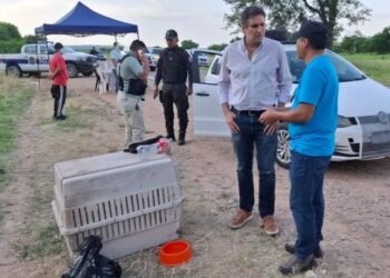 La policía secuestró 2700 dosis de marihuana