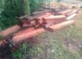 La Policía incautó un cargamento ilegal de madera